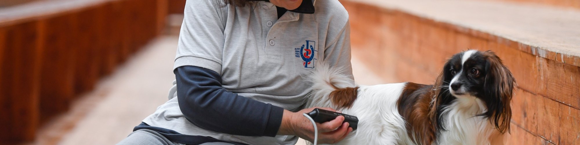 Apparativ-Physio Dielsdorf164