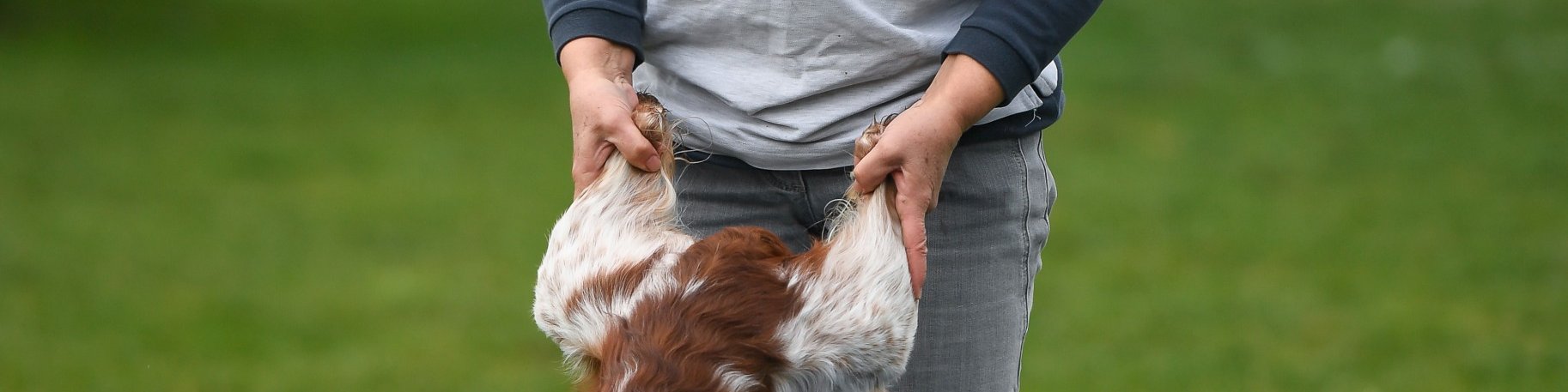 Hund-aktiv--Physio Dielsdorf034