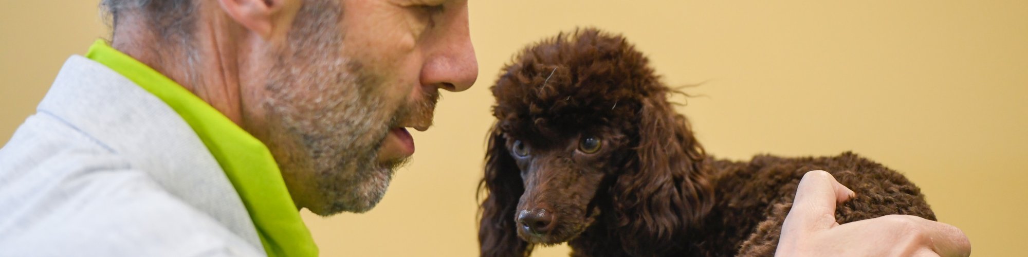 Hund-manuell--Physio Marco Marigin047