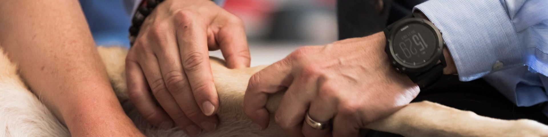 20181021 SVTPT PAPH 266