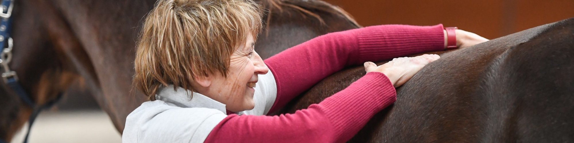 Pferd-manuell-Physio Dielsdorf222