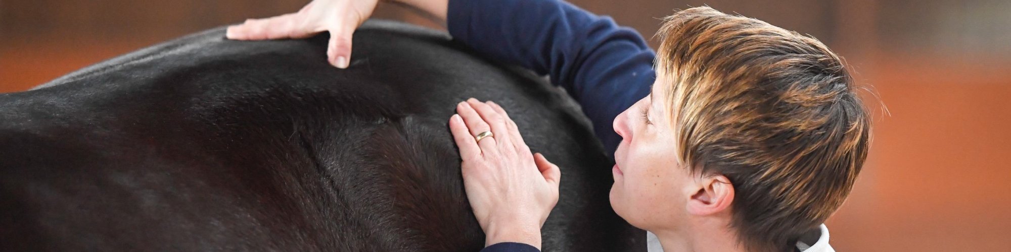 Pferd-manuell-Physio Dielsdorf287