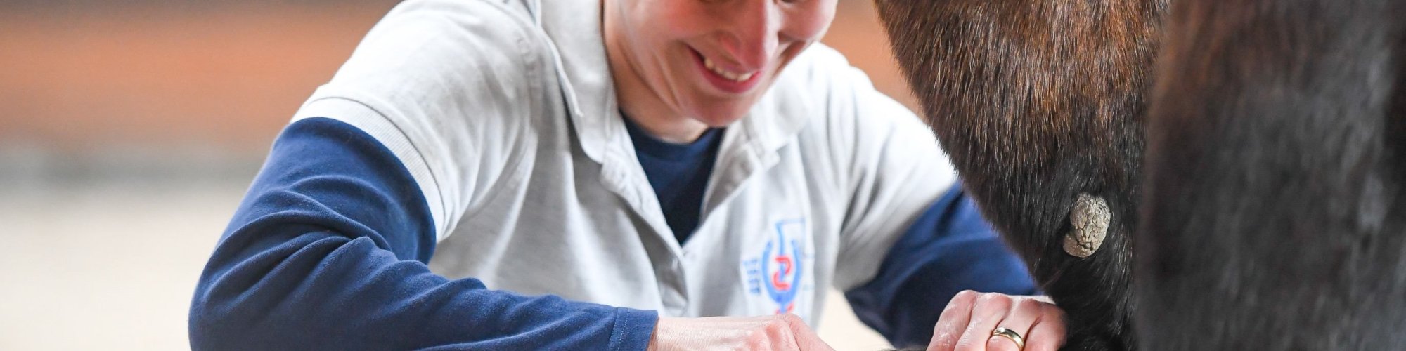 Pferd-manuell-Physio Dielsdorf268