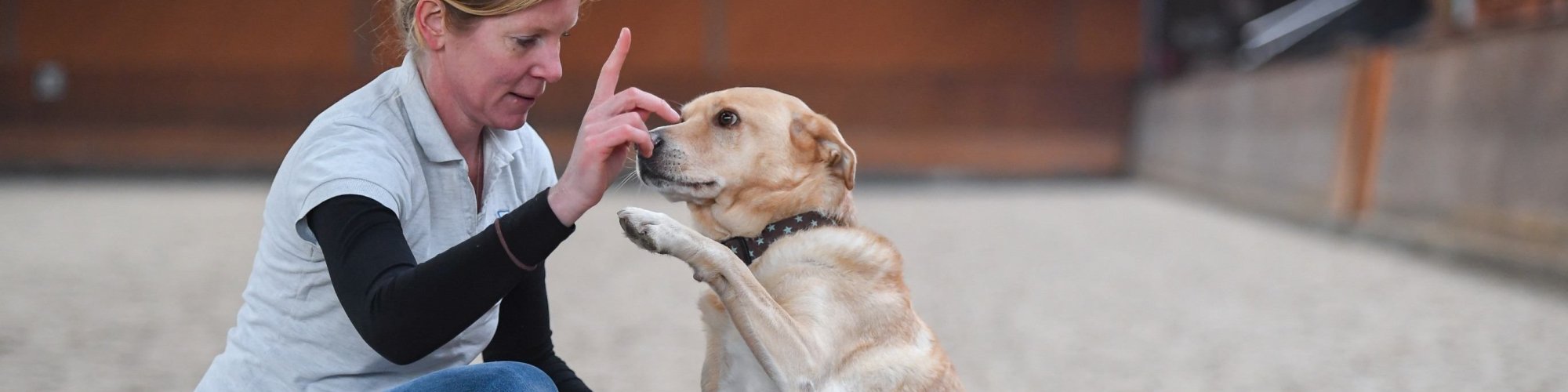 Hund-aktiv--Physio Dielsdorf066