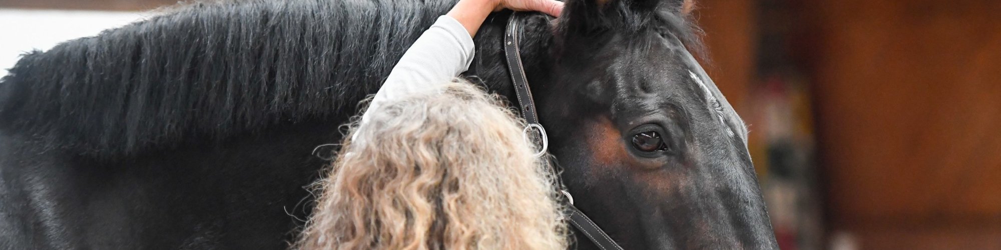 Pferd-manuell-Physio Dielsdorf188