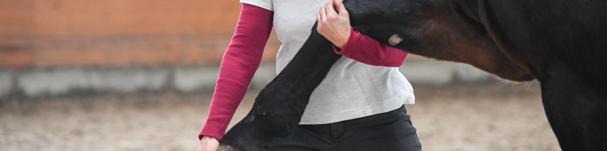 Pferd-manuell-Physio Dielsdorf257