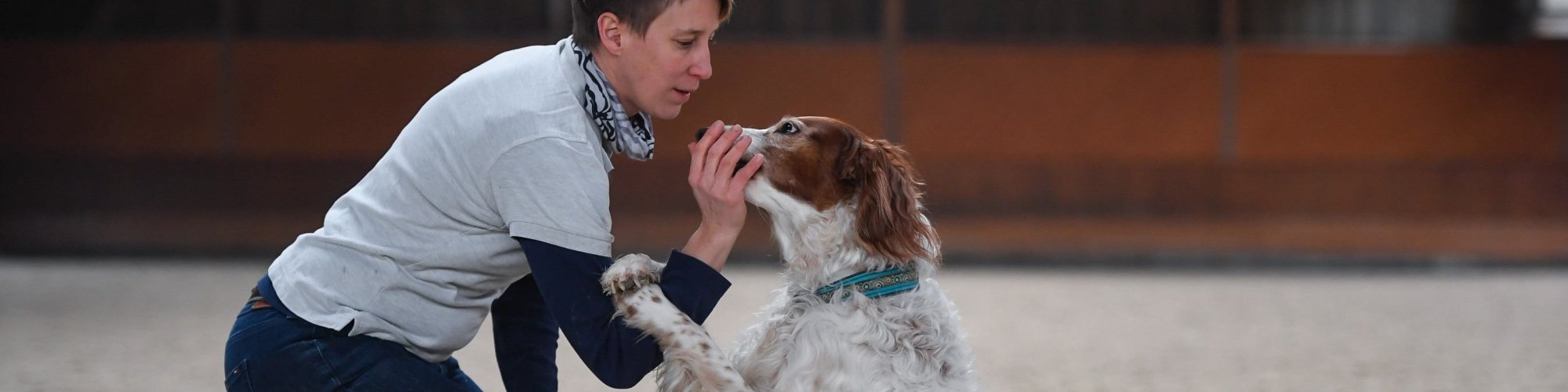 Hund-aktiv--Physio Dielsdorf109