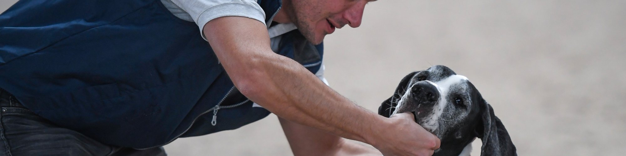 Hund-manuell--Physio Dielsdorf128