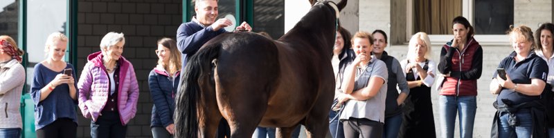 20181020 SVTPT PAPH 412