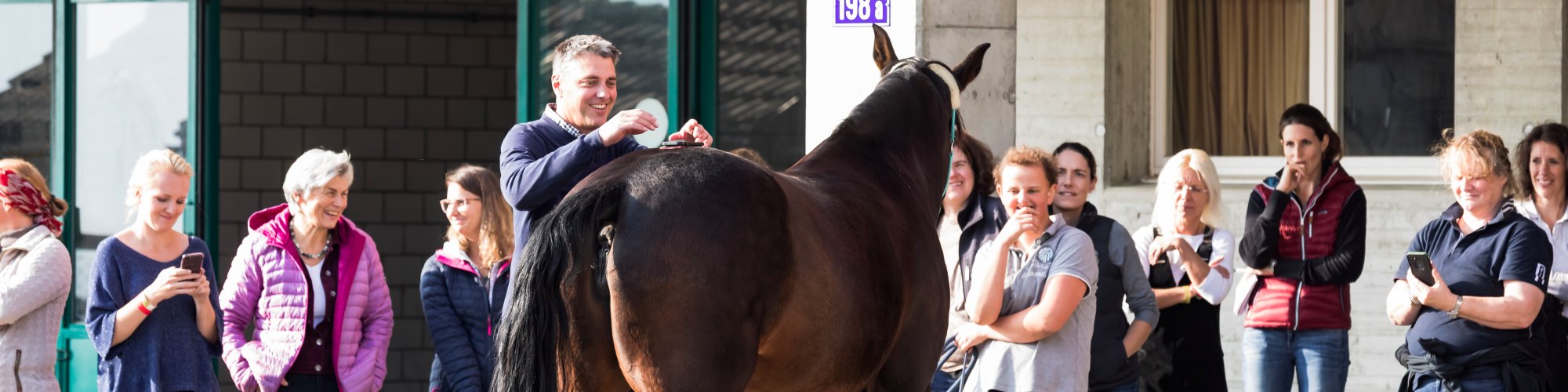 20181020 SVTPT PAPH 412