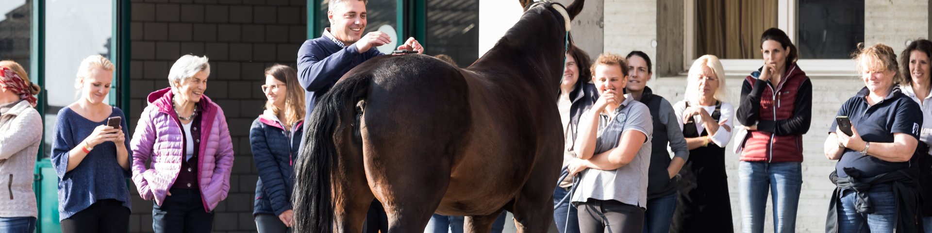 20181020 SVTPT PAPH 412