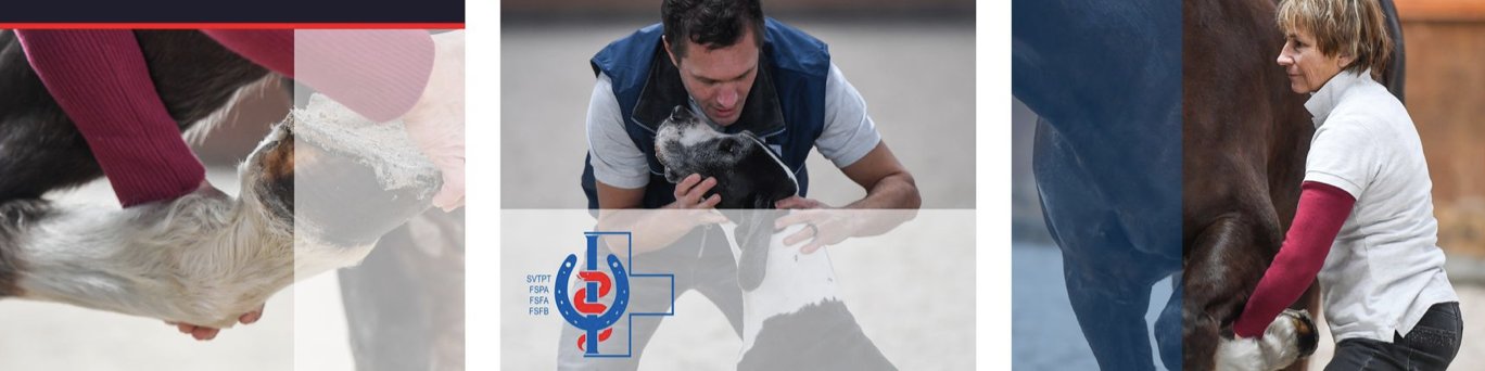 Bildschirmfoto 2022-07-12 um 09.45.25