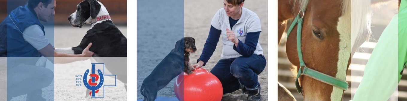 Bildschirmfoto 2022-07-12 um 09.45.34