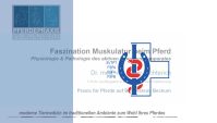 Bildschirmfoto 2025-09-12 um 19.56.25