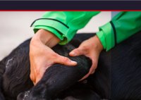 Bildschirmfoto 2025-05-23 um 11.26.58