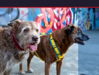 Bildschirmfoto 2025-05-23 um 11.29.26