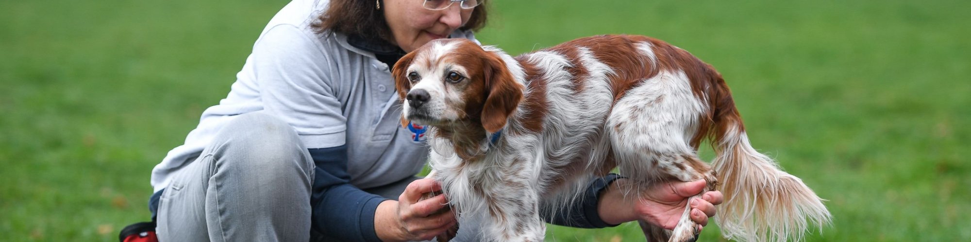 Hund-aktiv--Physio Dielsdorf020